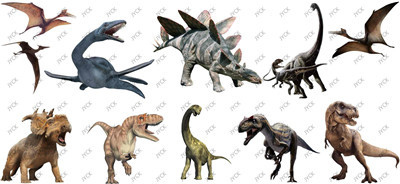 Dinosaur-H1-0485