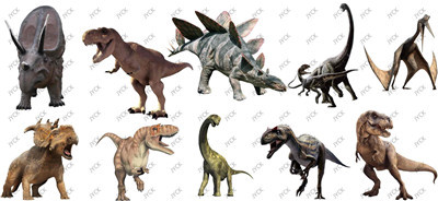 Dinosaur-H1-0486