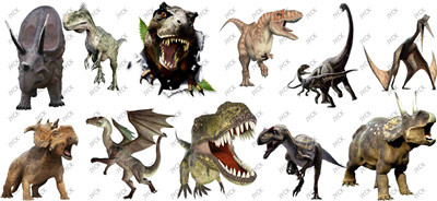 Dinosaur-H1-0488