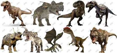 Dinosaur-H1-0489