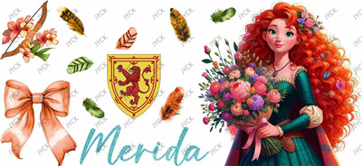 Disney Princess-H4-1118