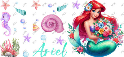 Disney Princess-H4-1129