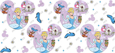 Disney Princess-H4-1272