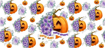 Halloween-H3-0535