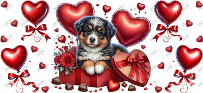 Valentine's Day-H4-1141