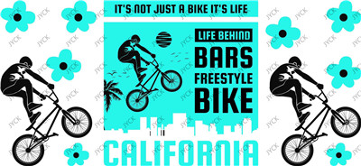 BMX-H4-0452