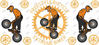 BMX-H4-0454