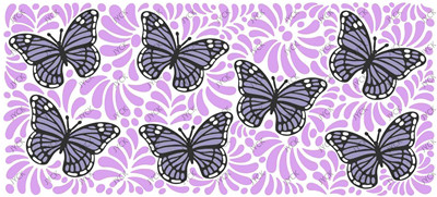 Butterfly-H2-9233