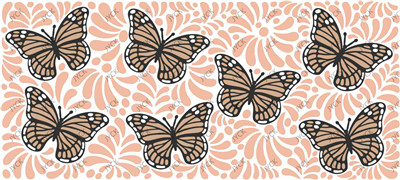 Butterfly-H2-9234