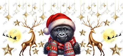 Christmas-H2-8397