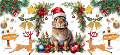Christmas-H2-8909