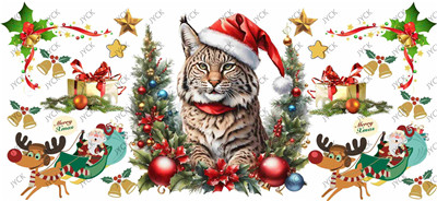 Christmas-H2-8917