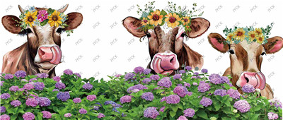 Cow-H1-1517