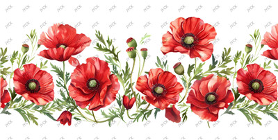 Flower-H1-1549