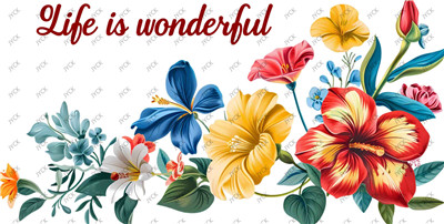 Flower-H1-1670