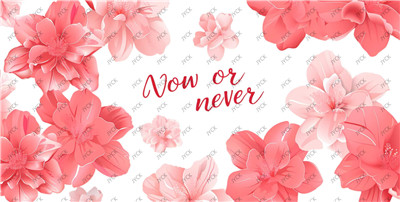 Flower-H1-1677