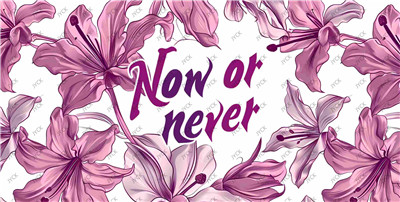 Flower-H1-1678