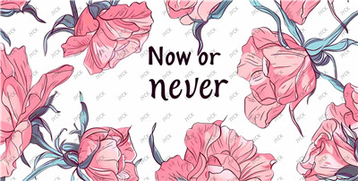 Flower-H1-1679