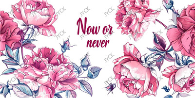 Flower-H1-1680