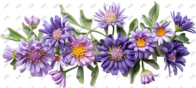 Flower-H1-2150