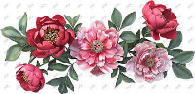 Flower-H1-2196