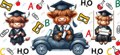 Highland cattle-H5-0319