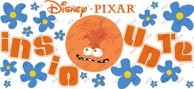 Inside Out-H2-5233