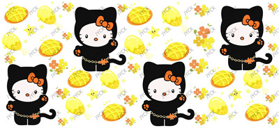 Sanrio-H2-9546