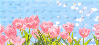 Scenery &amp;amp; Buildings-H4-1559