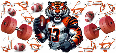 Sports Team-H2-5656