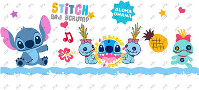 Stitch-H1-0580