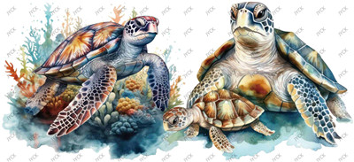 Turtle-H1-1012