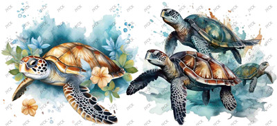 Turtle-H1-1014