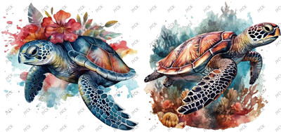 Turtle-H1-1015