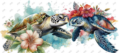 Turtle-H1-1017
