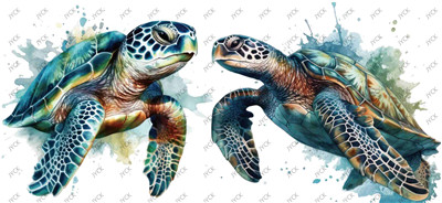 Turtle-H1-1018
