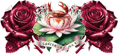Zodiac-H4-1684