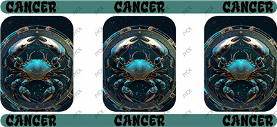Zodiac-H5-0045