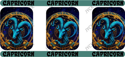 Zodiac-H5-0048
