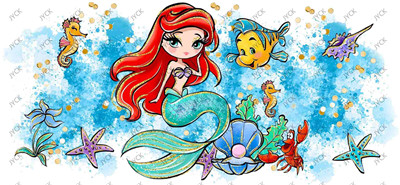 Disney Princess-H1-3479