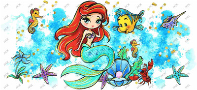 Disney Princess-H1-3481