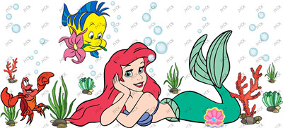 Disney Princess-H1-5422