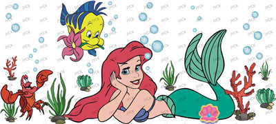 Disney Princess-H1-8283