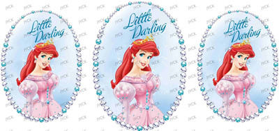 Disney Princess-H1-9645
