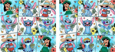 Stitch-H1-6060