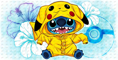 Stitch-H1-6574