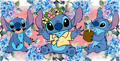 Stitch-H1-6821