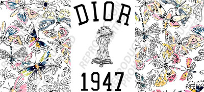 DO16-184