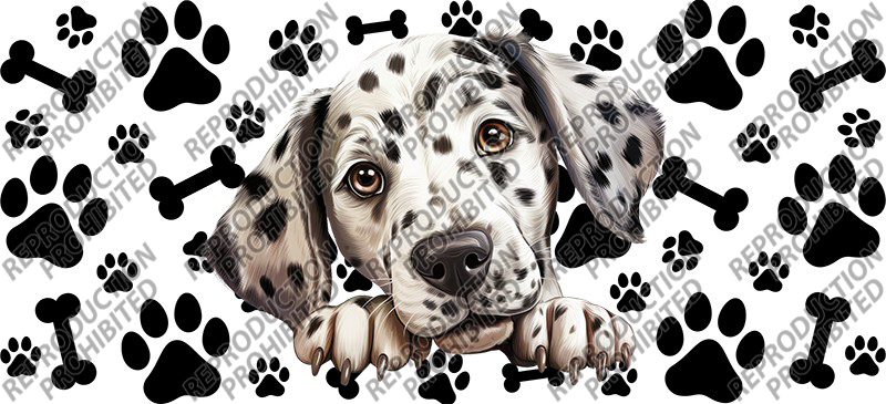 T9-2041