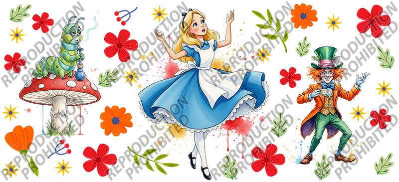 T6-2666